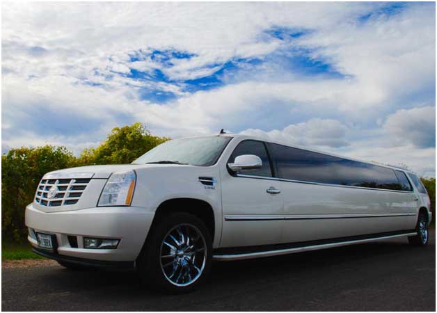 How to Find the Best limo from the airport to Natick for You
