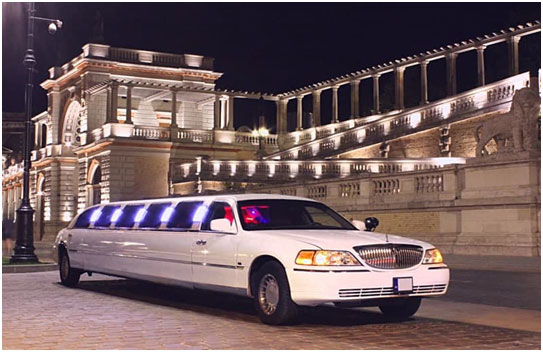 Want to Avail the Limo Services?